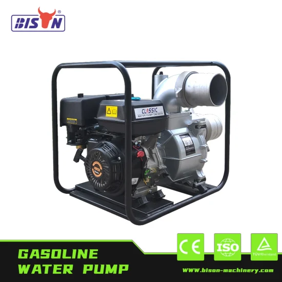 Bison 6 Inch Centrifugal Gasoline Water Pump Flow Rate 6inch Pumps with Petrol Engine Price